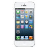 Apple iPhone 5 16Gb white - Петергоф